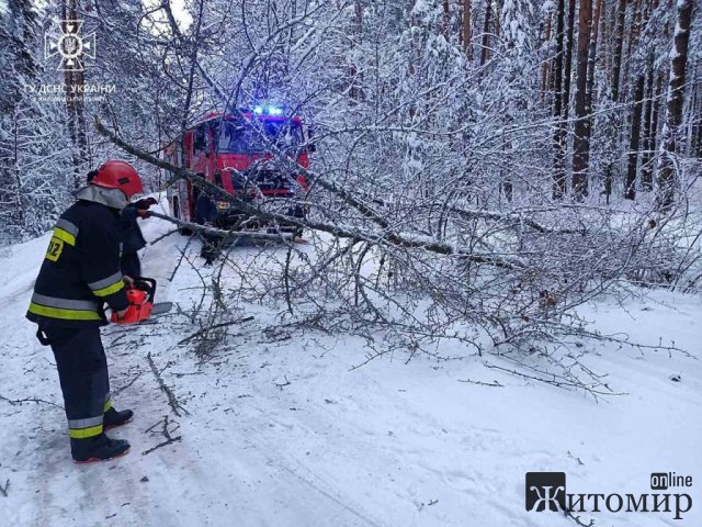 Упродовж доби рятувальники Житомирщини вивільнити 30 транспортних засобів зі снігових заметів. ФОТО