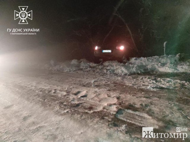 За добу рятувальники Житомирщини прибирали з доріг повалені дерева. ФОТО