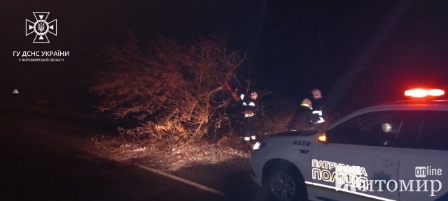 За добу рятувальники Житомирщини прибирали з доріг повалені дерева. ФОТО
