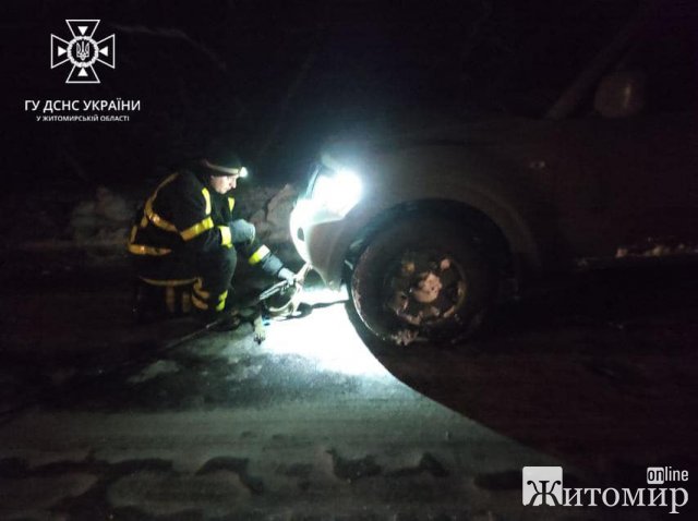 За добу рятувальники Житомирщини прибирали з доріг повалені дерева. ФОТО