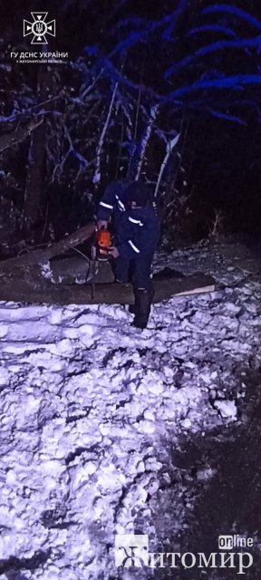 За добу рятувальники Житомирщини прибирали з доріг повалені дерева. ФОТО
