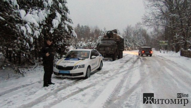 У Ємільчинській громаді затримали водія вантажівки, який перевозив дубові колоди без належних документів. ФОТО