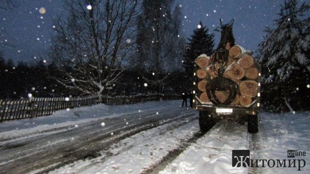 У Ємільчинській громаді затримали водія вантажівки, який перевозив дубові колоди без належних документів. ФОТО