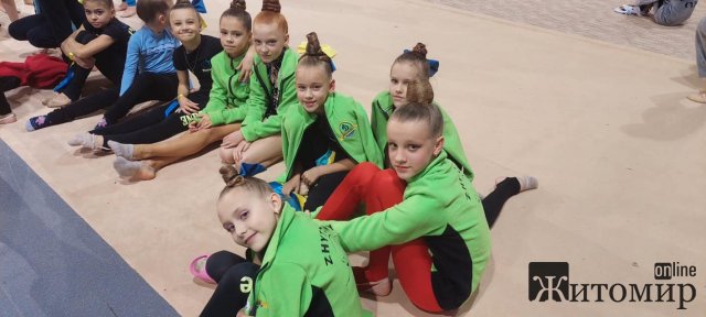 На відкритому кубку Молдови з художньої гімнастики спортсменки з Житомирської області вибороли призові місця. ФОТО