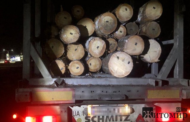 В Олевську поліцейські зупинили дві вантажівки із колодами сосен без належних документів на товар. ФОТО