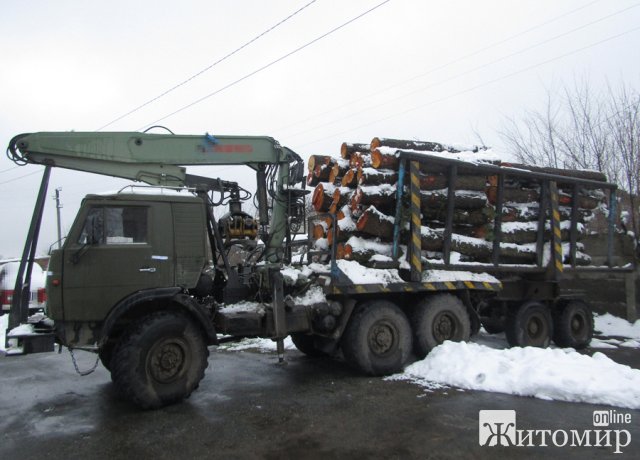 У селищі на Житомирщині поліцейські зупинили вантажівку з деревиною, підтвердження легальності на товар у водія не було. ФОТО