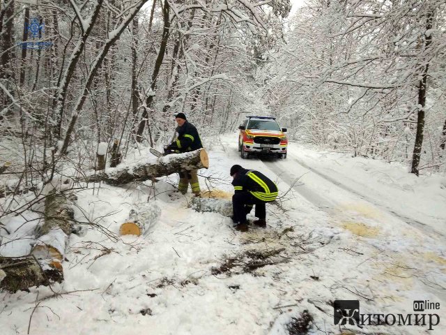Біля одного з сіл на Житомирщині рятувальники витягнули з снігового замету автобус із 30-ма пасажирами. ФОТО