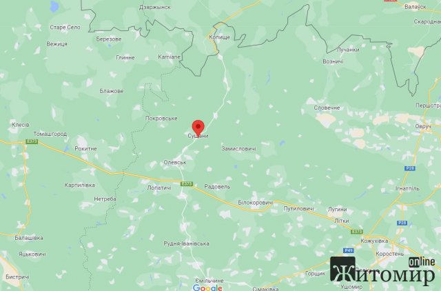 В Олевському районі на міні підірвалася сім