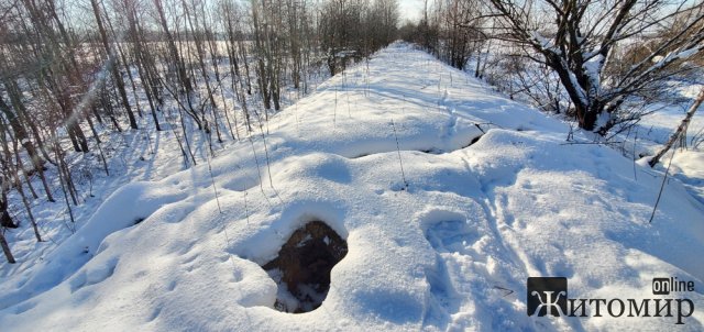 Поблизу одного із сіл місцевої громади житель Коростеня систематично демонтував кабель з підземної лінії. ФОТО