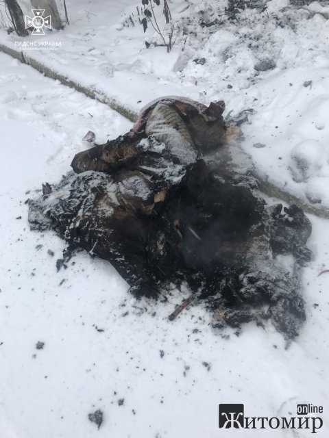 У Житомирі рятувальники гасили пожежу в 2-поверховому будинку. ФОТО