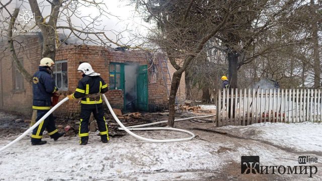 Минулої доби рятувальники гасили пожежі у двох помешканнях у селах Житомирської області. ФОТО