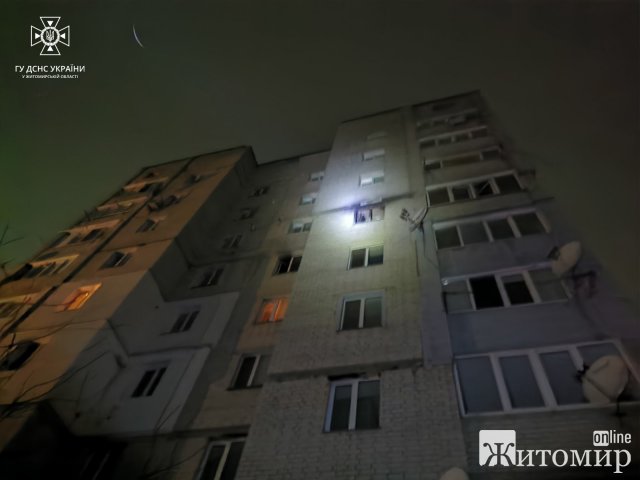 В одній з житомирських багатоповерхівок горіла трикімнатна квартира: власницю врятували собаки. ФОТО