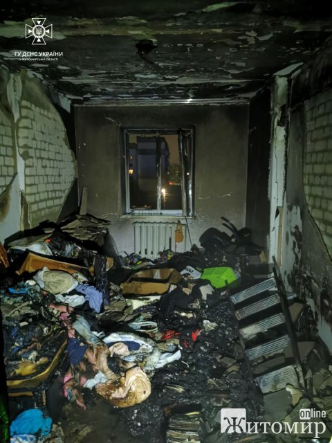 В одній з житомирських багатоповерхівок горіла трикімнатна квартира: власницю врятували собаки. ФОТО