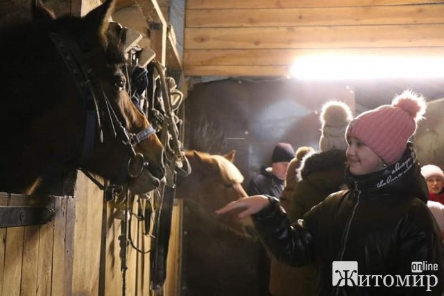 Житомирська волонтерка просить допомогти врятувати коней. ФОТО