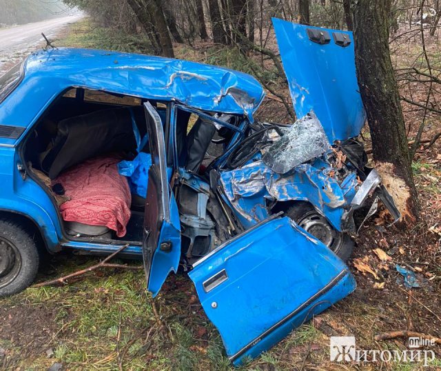 Слідчі оголосили про підозру жителю Бердичівської громади, з вини якого в ДТП загинула людина. ФОТО