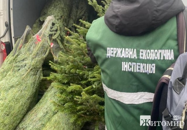 На Житомирщині тривають рейдові заходи контролю законності продажу хвойних дерев. ФОТО