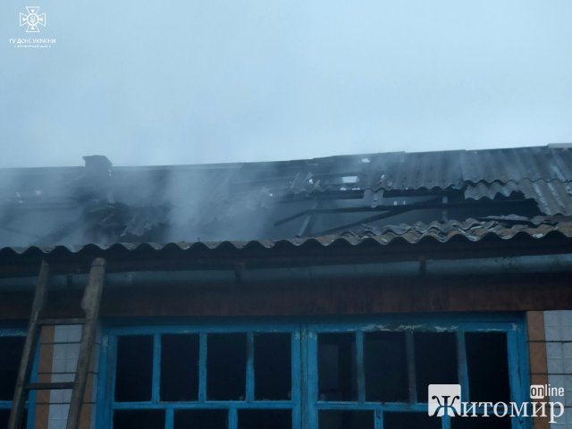Зранку рятувальники гасили пожежу в селищі Житомирської області та виявили тіло пенсіонерки. ФОТО