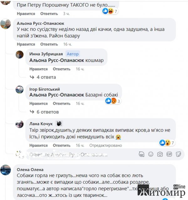 У селищі неподалік Житомира невідома істота перегризла горла у курей