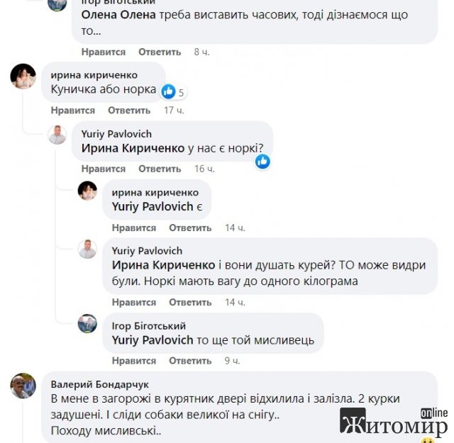 У селищі неподалік Житомира невідома істота перегризла горла у курей