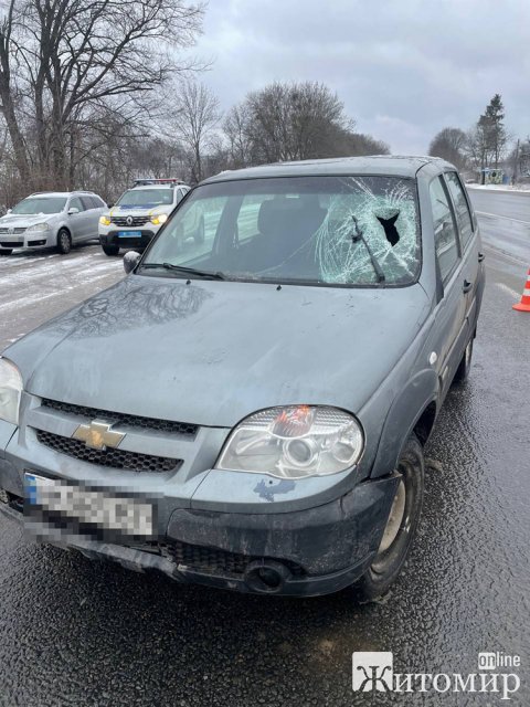 На автодорозі біля Житомира Chevrolet збив жінку з двома дітьми: потерпілих госпіталізували. ФОТО