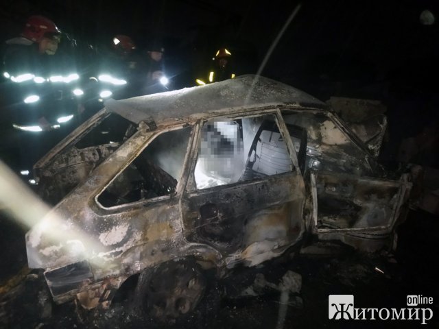 У Житомирській області ВАЗ врізався в бетонну секцію: автомобіль спалахнув та згорів. ФОТО