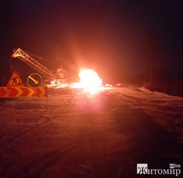 У Житомирській області ВАЗ врізався в бетонну секцію: автомобіль спалахнув та згорів. ФОТО