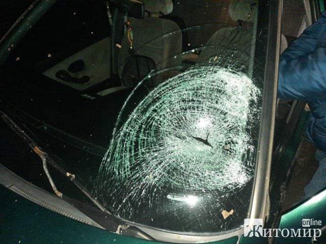 У селі на Житомирщині Peugeot наїхав на велосипедистку: через деякий час пенсіонерку доправили в лікарню. ФОТО