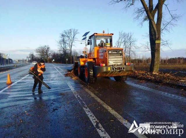 Поламані дерева та вивернуті дорожні знаки - у Житомирській області вітер наробив шкоди. ФОТО