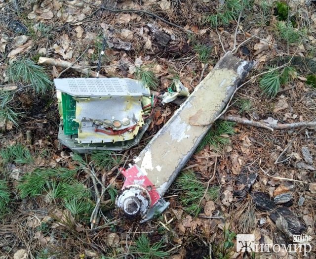 Працівник одного з лісгоспів Житомирщини натрапив на уламки ракети, які лишилися після ворожих обстрілів. ФОТО