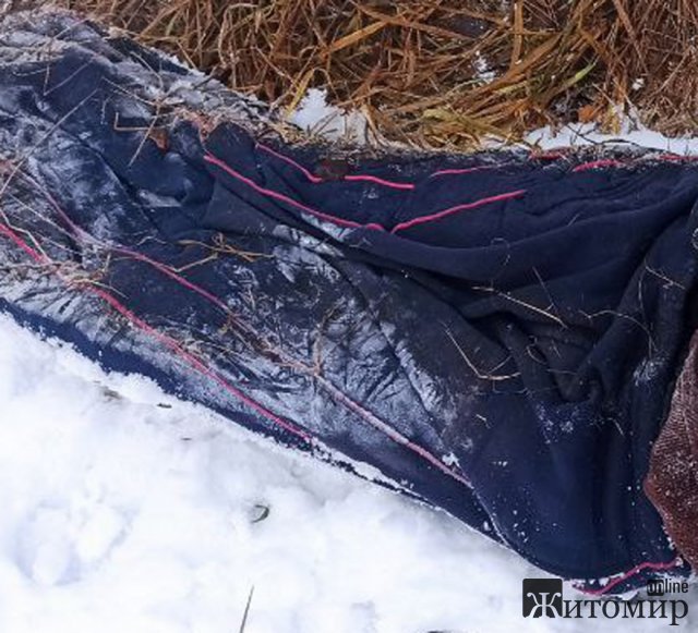 У лісі Житомирської області знайшли тіло чоловіка, поліція встановлює особу померлого