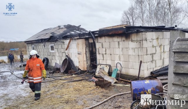 У Житомирському районі горів сарай зі свинями: господарі встигли врятувати більше десятка тварин. ФОТО