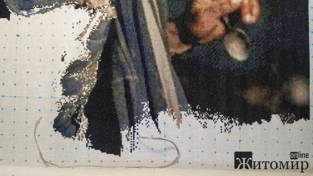 Майстриня з Житомирської області вишила портрет захисника Маріуполя Михайла Діанова. ФОТО