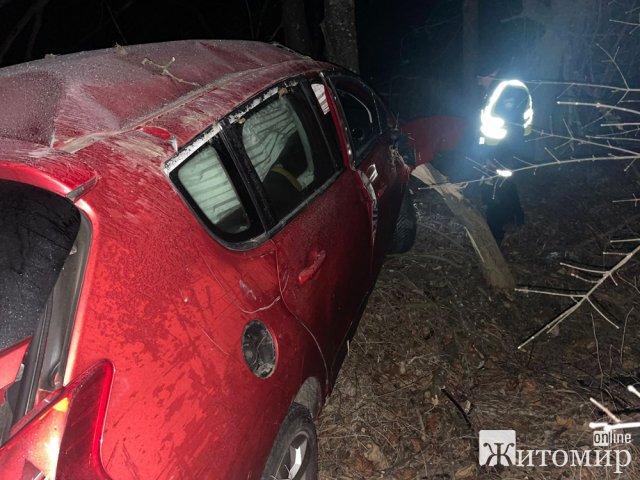 На трасі в Житомирській області житель Донеччини на Peugeot з’їхав у кювет: є  потерпілі. ФОТО