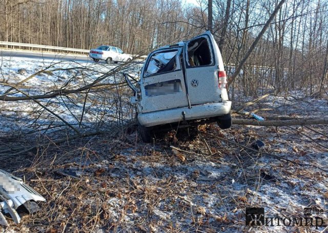 На трасі в Житомирській області Volkswagen з’їхав у кювет та врізався в дерево: водій загинув. ФОТО