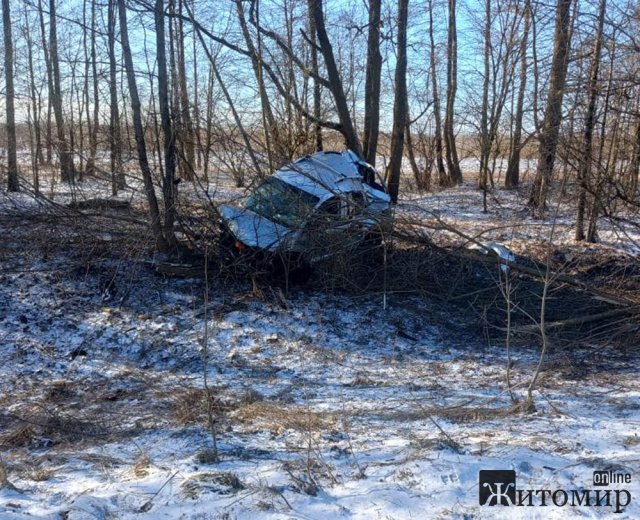 На трасі в Житомирській області Volkswagen з’їхав у кювет та врізався в дерево: водій загинув. ФОТО