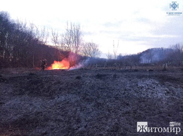 За добу рятувальники Житомирщини ліквідували тридцять шість пожеж. ФОТО