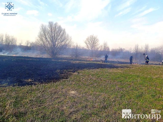 За добу рятувальники Житомирщини ліквідували тридцять шість пожеж. ФОТО