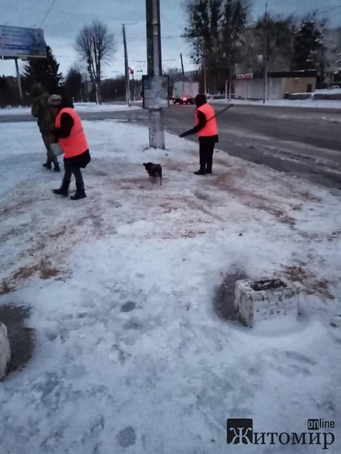 У Житомирі з 5-ї ранку комунальники розчищають сніг. ФОТО