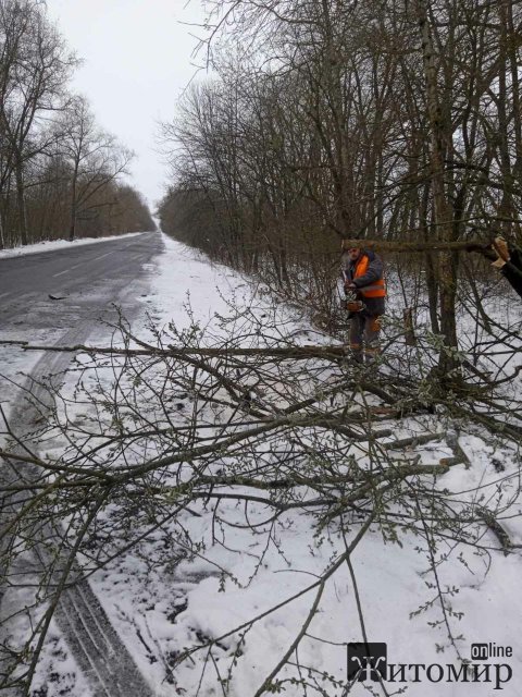 Дороги в Житомирській області очищені від снігу, - САД