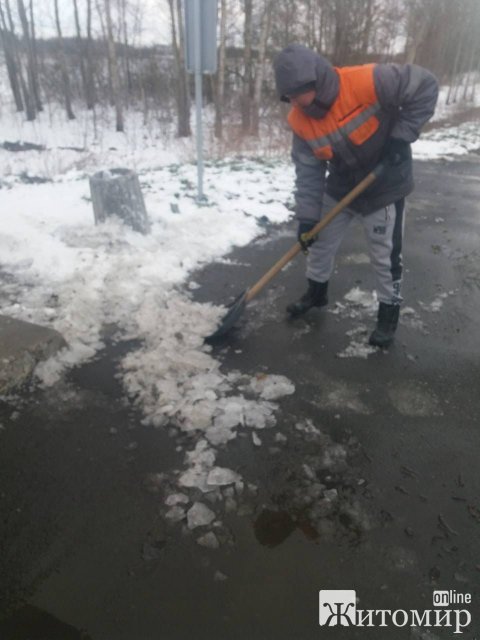 Дороги в Житомирській області очищені від снігу, - САД