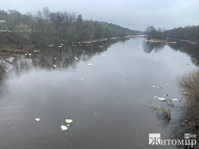 Чому на річці Тетерів у Житомирі з’явилася піна. ФОТО