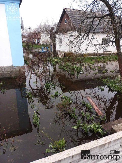 У Малині та Черняхові рятувальники відкачували воду. ФОТО