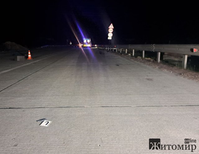 Неподалік Житомира Lexus збив пішохода: чоловік загинув. ФОТО