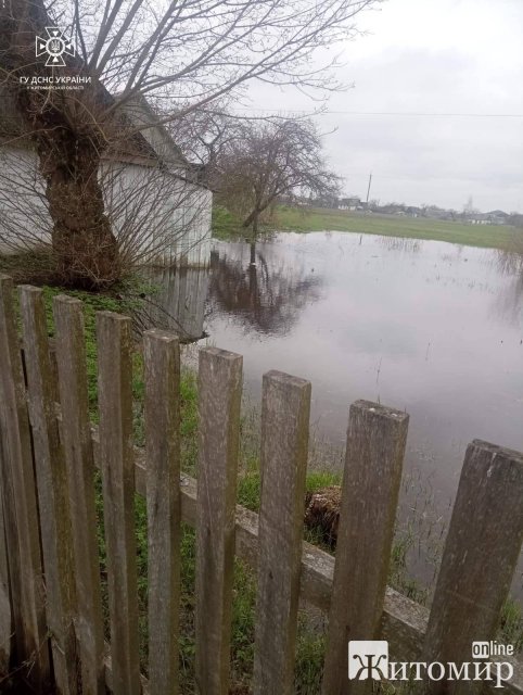 На Житомирщині рятувальники витягували бус волонтерки, що застряв у багнюці. ФОТО