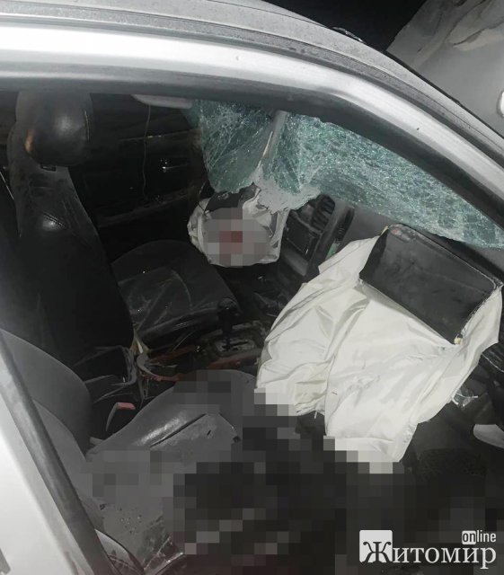 Неподалік Житомира Hyundai врізався у колесовідбійник:  двоє людей у лікарні. ФОТО
