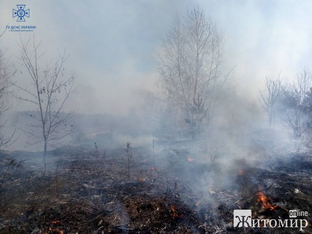 У селі на Житомирщині біля цвинтаря горіло сухе листя та сміття. ФОТО