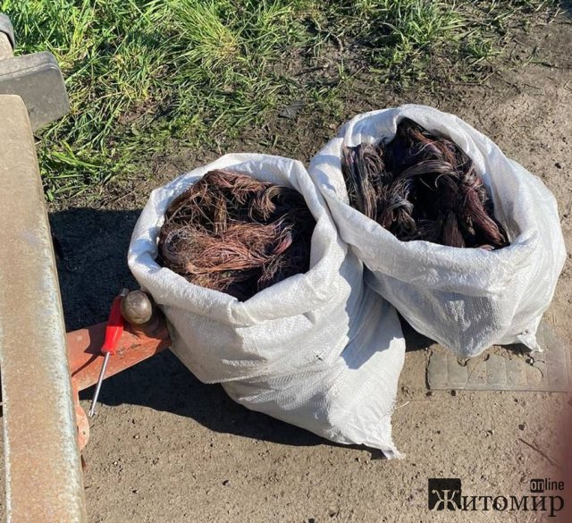 У Коростишеві поліцейські затримали групу серійних викрадачів електрокабелів з Київщини. ФОТО