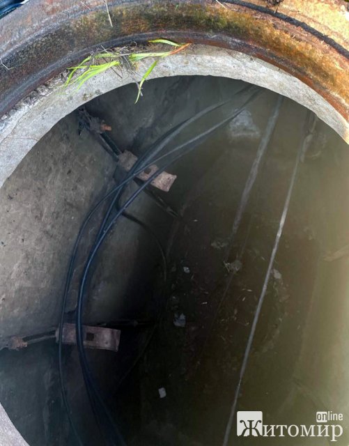 У Коростишеві поліцейські затримали групу серійних викрадачів електрокабелів з Київщини. ФОТО