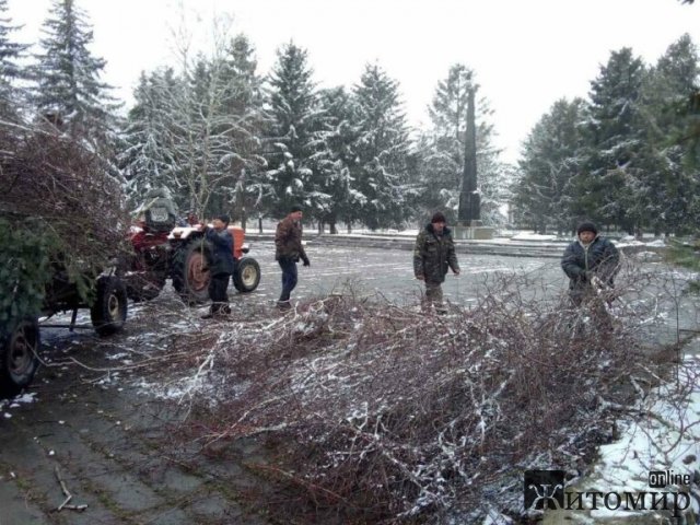 До «Армії відновлення» на Житомирщини долучилися місцеві жителі та переселенці