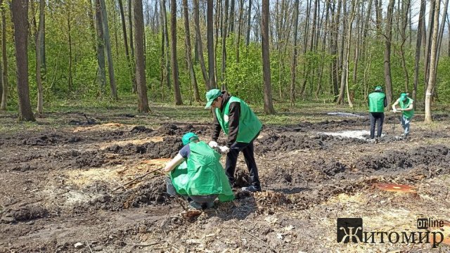 У Житомирській області студенти з лісівниками засадили дубами та соснами 40 сотих лісу. ФОТО